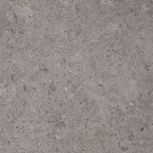 Sina-Grey-2
